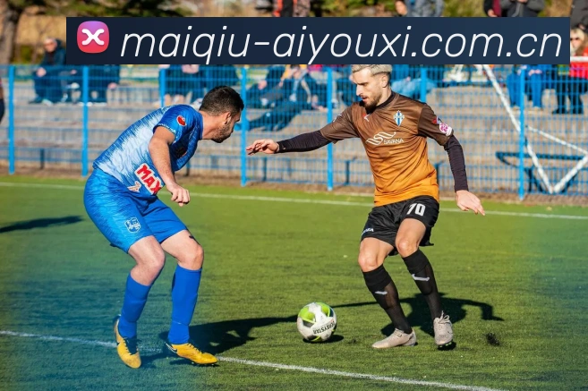 爱游戏体育发展历程